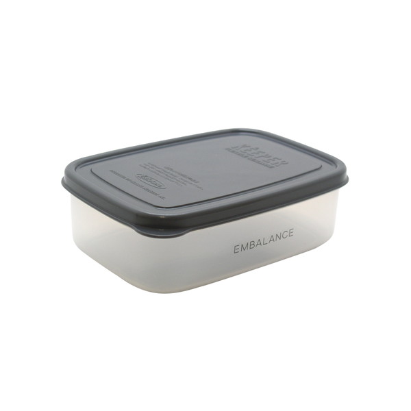 ウィルマックス RECTANGLE CONTAINER T12217エンバランス レクタングルコンテナ　S 590ml グレー