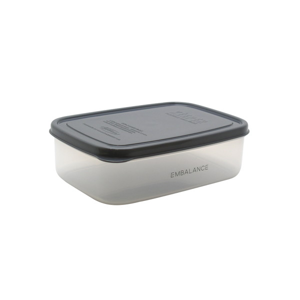 ウィルマックス RECTANGLE CONTAINER T12220エンバランス レクタングルコンテナ　M 870ml グレー